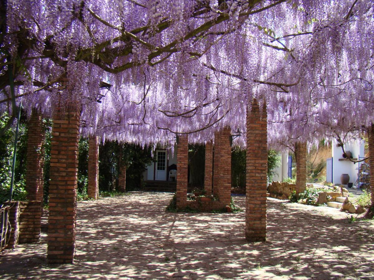 Hotel Sierra Madrona Fuencaliente  Buitenkant foto